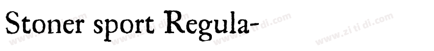 Stoner sport Regula字体转换